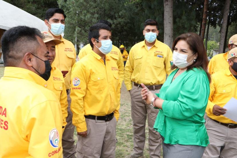 En seis meses incendios afectaron 5 mil 600 hectáreas de bosque en Puebla