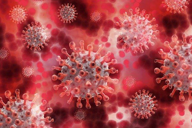 Aseguran que el coronavirus Covid19 ha mutado en Dinamarca