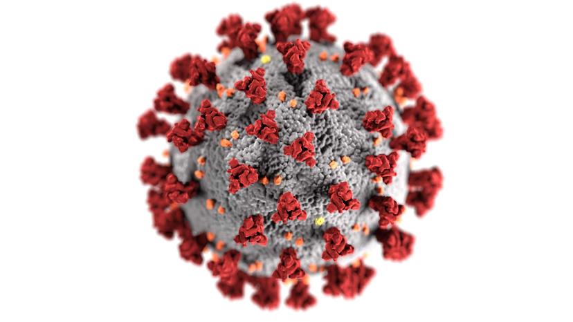 Equipo de la OMS viajará a China para buscar el origen del coronavirus