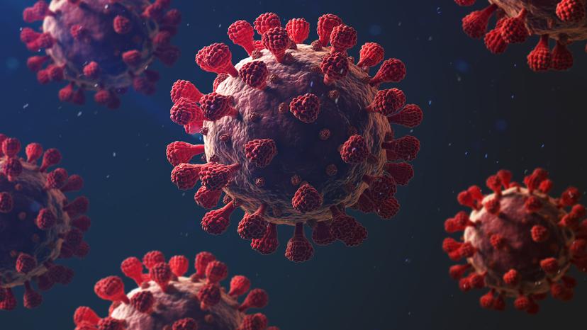 Pandemia podría continuar durante más tiempo: ONU
