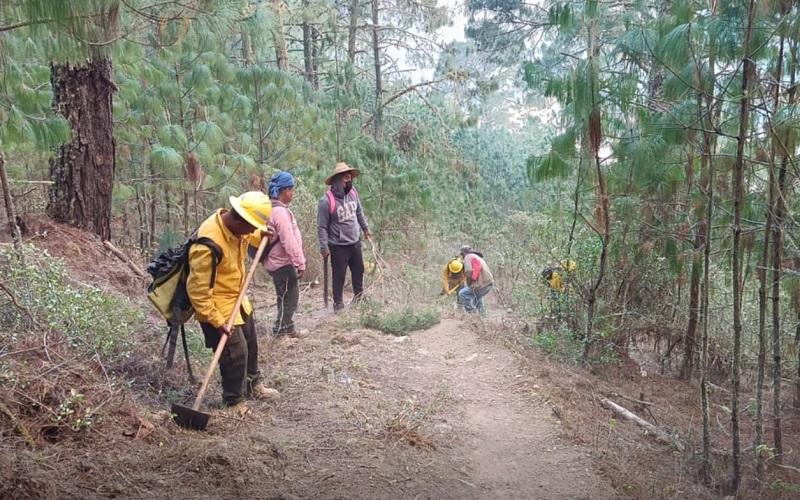 Retoman brigadistas combate a incendio en Coyomeapan