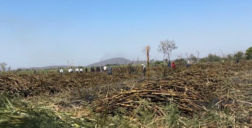 Encuentran cadáver de un hombre entre campos de cultivo de Izúcar