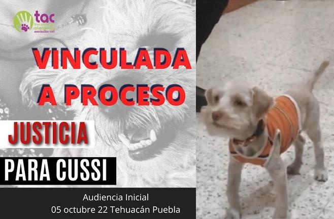 Vinculan a proceso a mujer por envenenar a perrita en Tehuacán