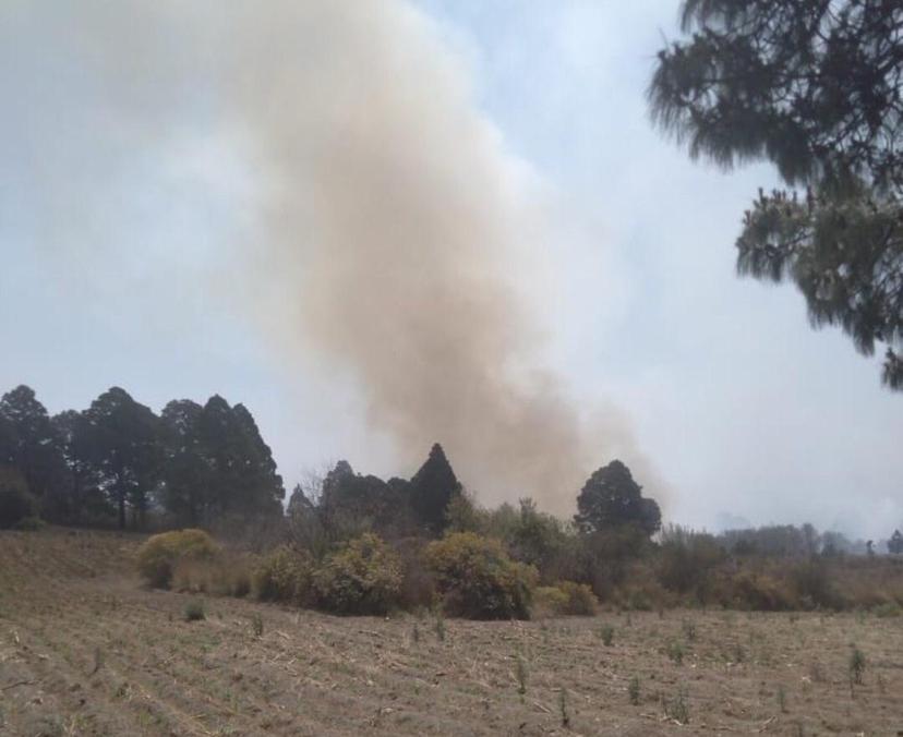 Brigadas trabajan para liquidar incendio en cerro El Pinal