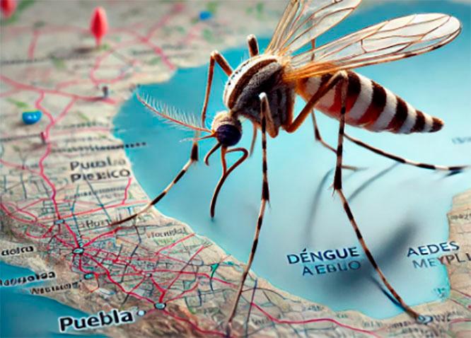 Puebla, a un paso de rebasar los 3 mil casos de dengue de 2023