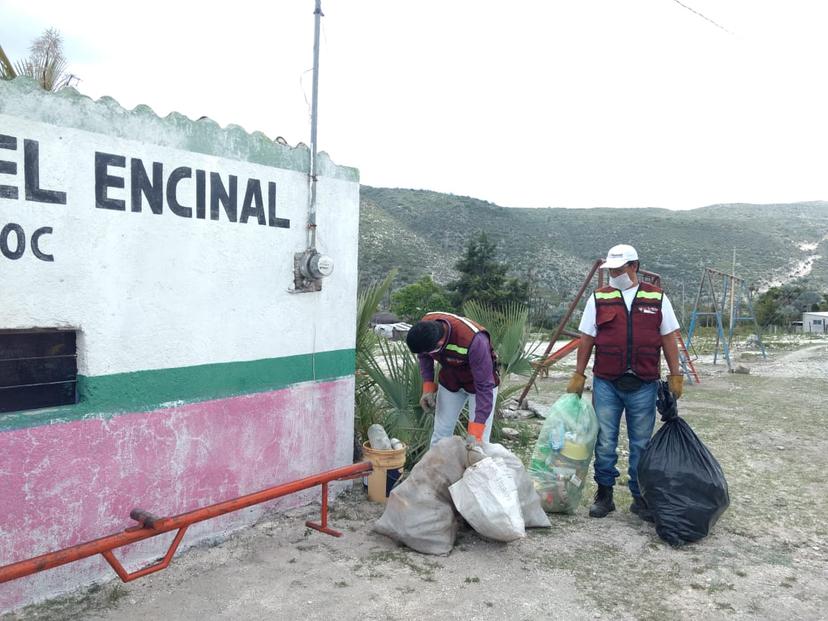 Inician fumigación en colonias de Tehuacán para evitar el dengue