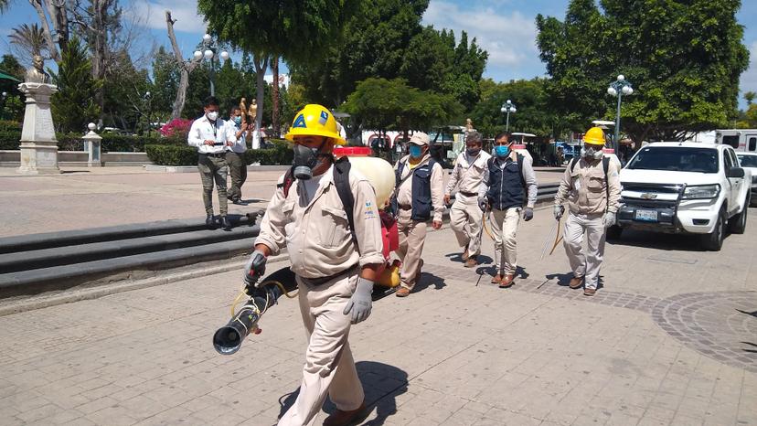 Registran casi 500 casos de dengue en la región de Tehuacán