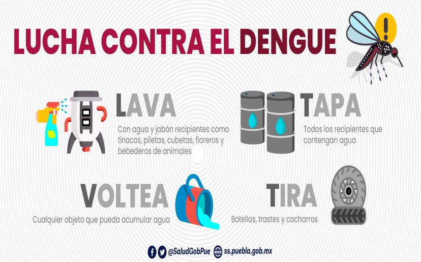 Registra Puebla 35 nuevos casos de dengue en últimas 24 horas: Salud