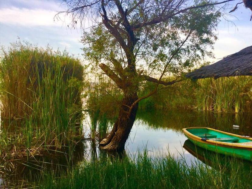 Se registra incendio en los alrededores de la laguna de Epatlán 