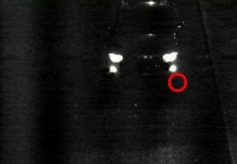 Disparan en el cuello a director de Tránsito de San Pedro Cholula