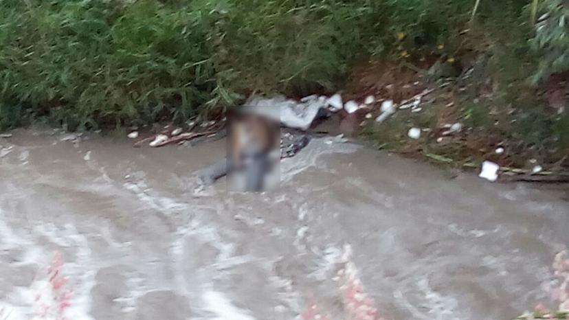 Con una bolsa en la cabeza, hallan cadáver en el Alseseca