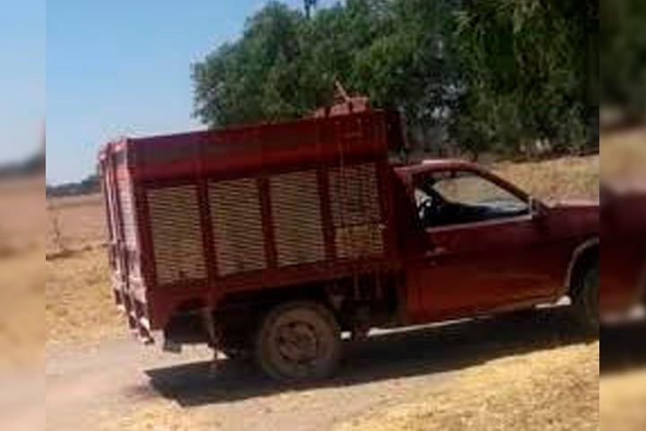 Los ejecutan y los dejan entre verduras en Acatzingo