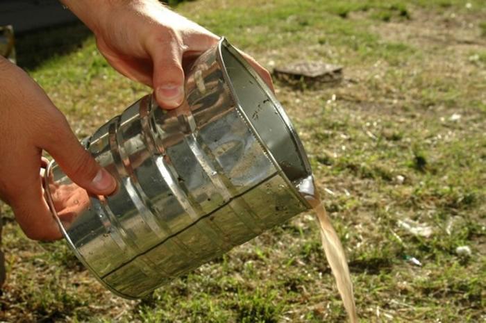 Usan aguas negras en 40 hectáreas de cultivos en Cuautlancingo