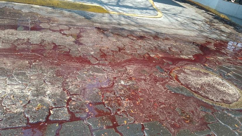 Colapsa drenaje del Rastro y pinta de rojo las calles de Tehuacán  