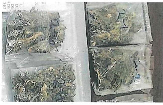 Ricardo cayó con más de 100 bolsas de meta y marihuana en San Bartolo