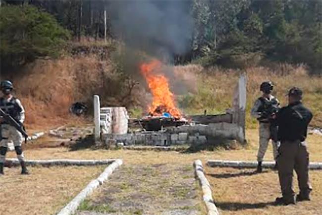 La FGR incautó e incineró casi una tonelada de droga en Puebla