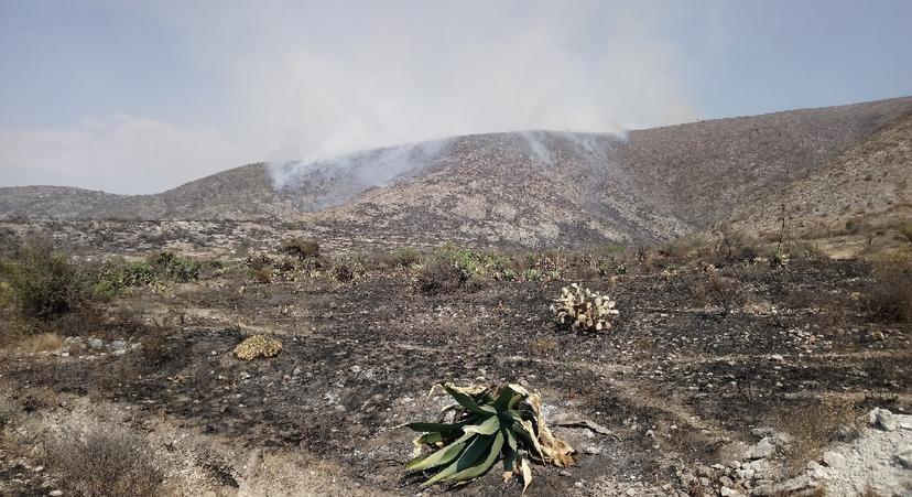 Sin control, incendio consume hectáreas en Tecamachalco