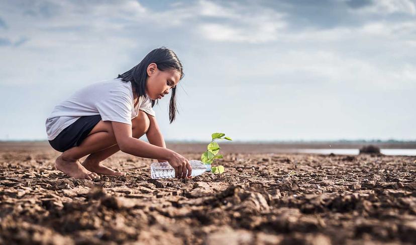 Ecoansiedad: el temor a un cataclismo ambiental