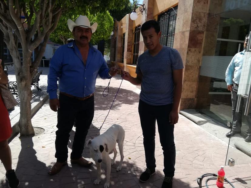 Rescatan a Ningo, perrito al que mutilaron en Huehuetlán