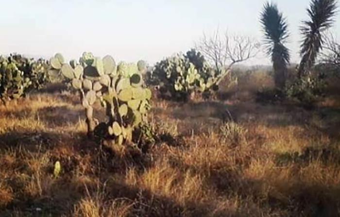 Encuentra dos ejecutados en Santa Clara Huitziltepec