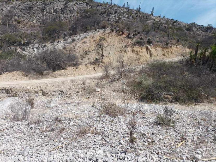 Hallan a hombre sin vida y devorado por la fauna en Tehuacán