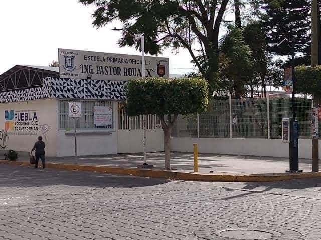 Solicitan en primaria Pastor Rouaix ayuda ante presencia de garzas garrapateras 