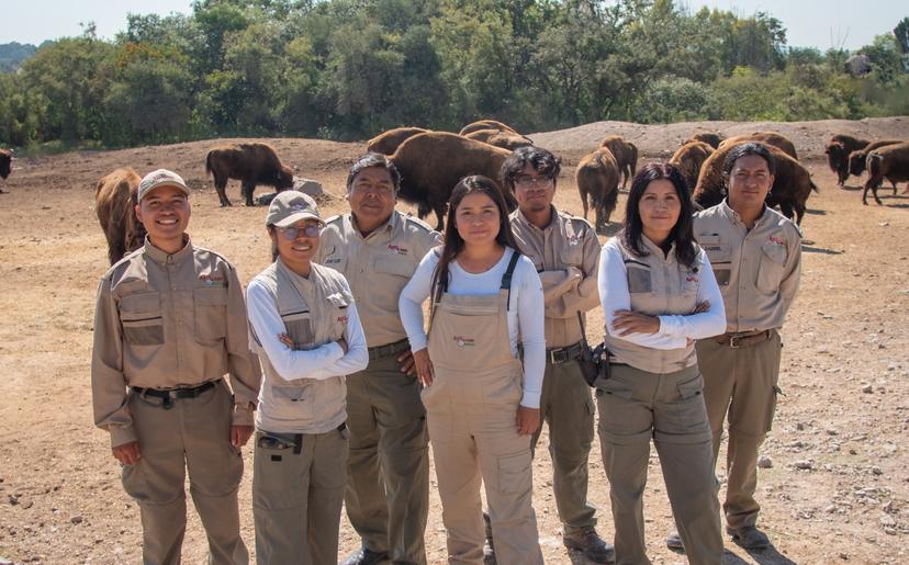 Hay chamba en Africam Safari, conoce las vacantes disponibles