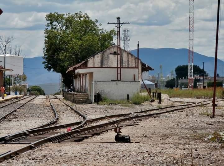 Maíz transgénico robado es vendido para consumo humano