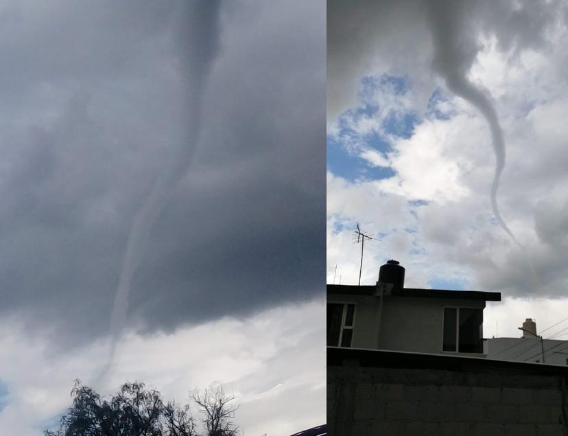 VIDEO Víbora de agua sorprende en el cielo de Quecholac