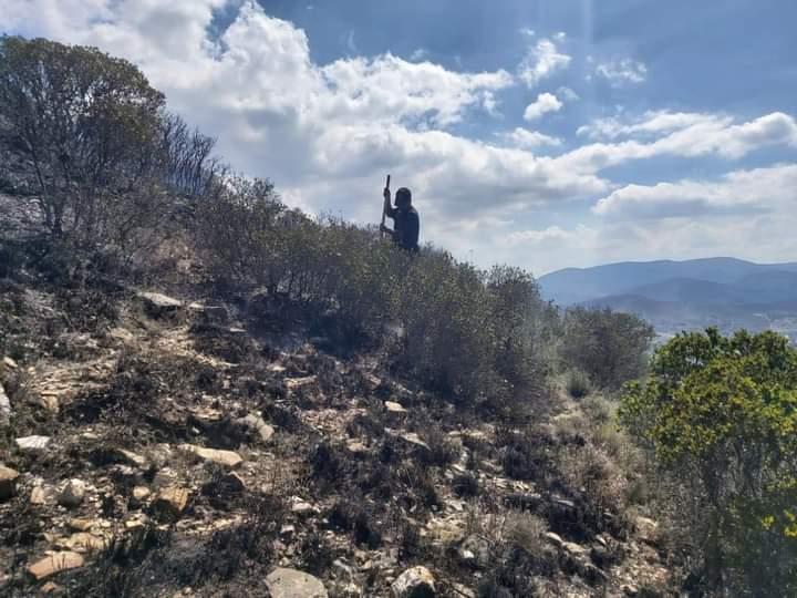 Brigadas en Nicolás Bravo se preparan ante riesgos de incendios forestales