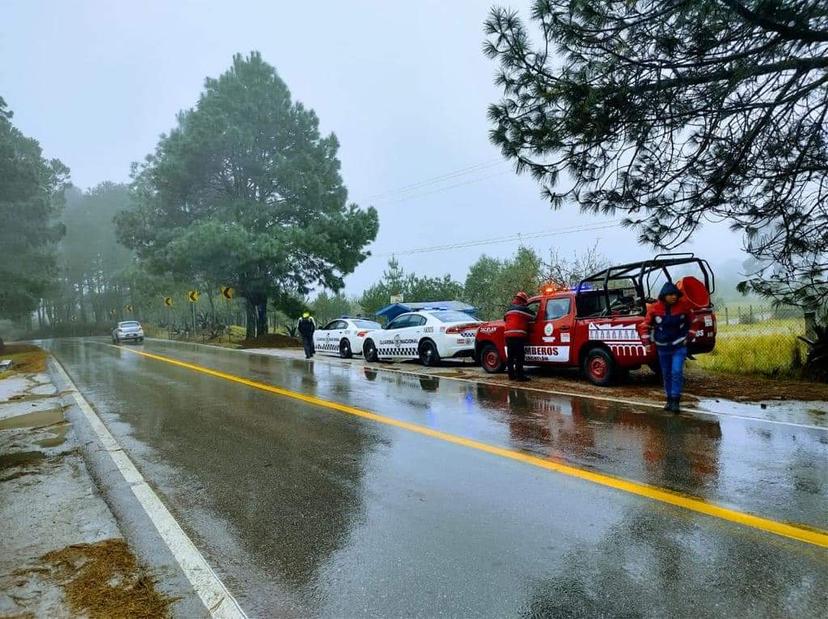 Hallan dos cuerpos embolsados en comunidad de Zacatlán