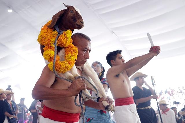 Aún se desconoce si será presencial el Festival de la Matanza en Tehuacán