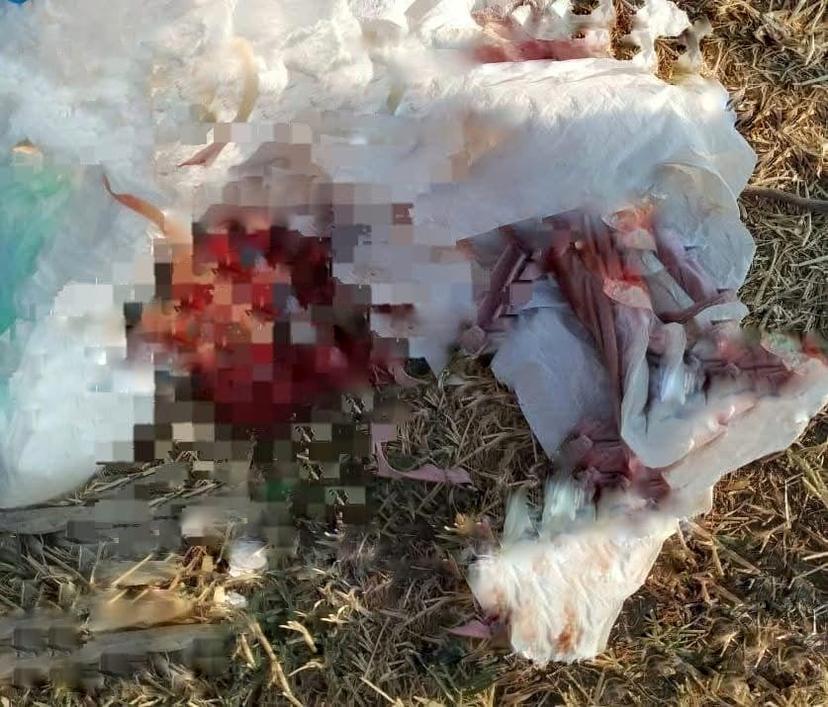 Localizaron feto y un cuerpo calcinado en San Pablo del Monte