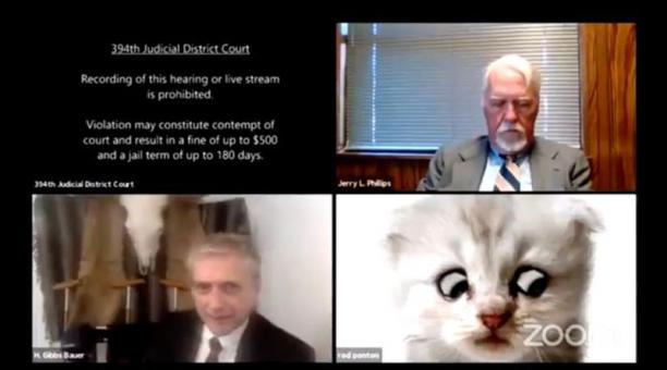 VIDEO Abogado aparece en audiencia virtual con filtro de gato