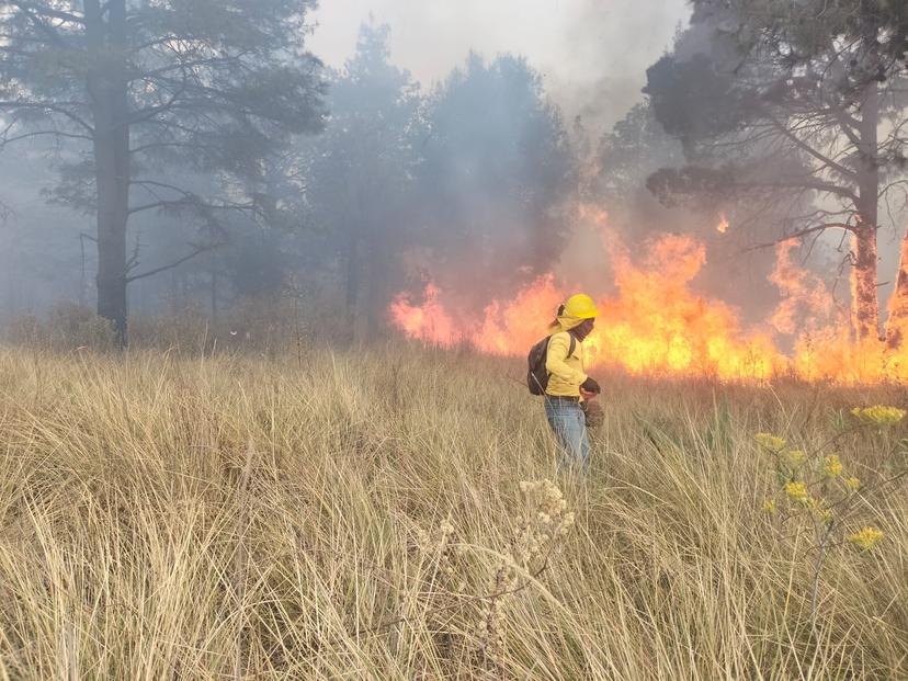 Sofocan incendios forestales en Tlahuapan y Lafragua