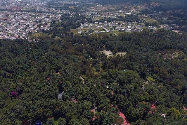 Hay 17 amparos para evitar que Flor del Bosque sea área protegida