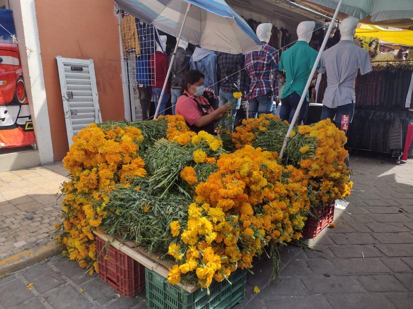 Flor de cempasúchil costará el doble esta temporada en Tehuacán 