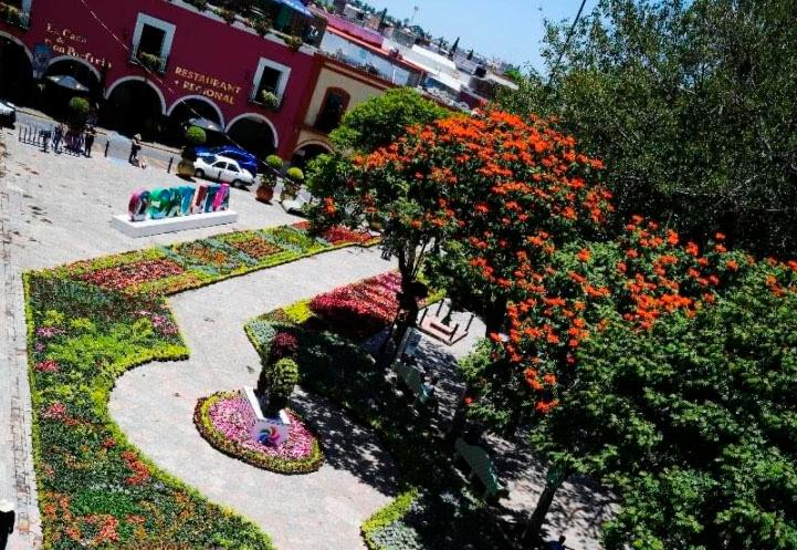 Tapete de flores en Atlixco no obtuvo buena respuesta de turistas