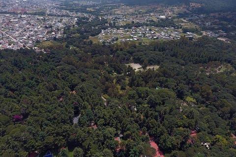 Gestiona Gobierno de Puebla declaratoria de Flor del Bosque como reserva ecológica 