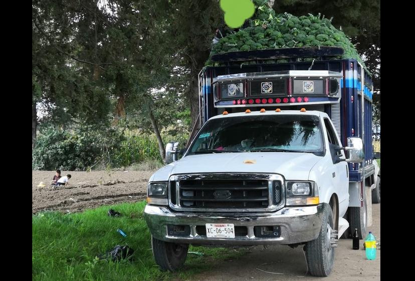 Hasta un camión de cebollas se roban a punta de pistola en Tecamachalco