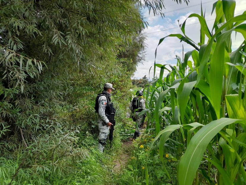 Guardia Nacional localiza toma clandestina en Santa Ana Xalmimilulco