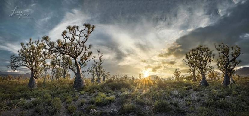 Tehuacanense gana segundo lugar en concurso de fotografía en Inglaterra 