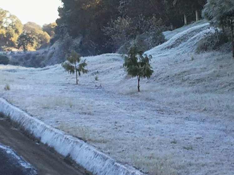 Heladas y temperaturas bajo cero afectan a municipios de Puebla