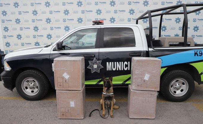 Cae Isaías con 26 kilos de marihuana en la CAPU