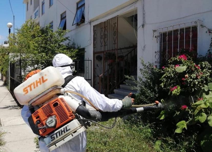 Baja incidencia de dengue en la región de Tehuacán