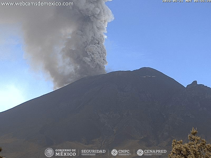 Ceniza del Popocatépetl podría llegar a Veracruz