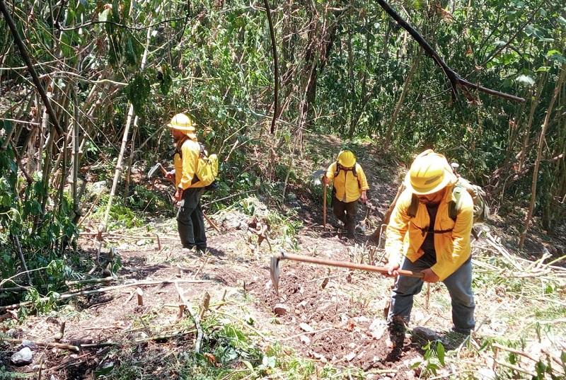 Liquidan al 100% el incendio forestal en Juan Galindo