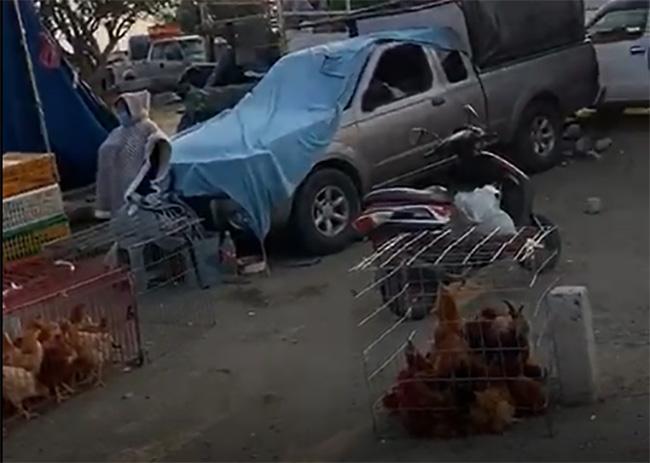 VIDEO Tianguistas de Cuatro Caminos le temen más al hambre que al Covid-19