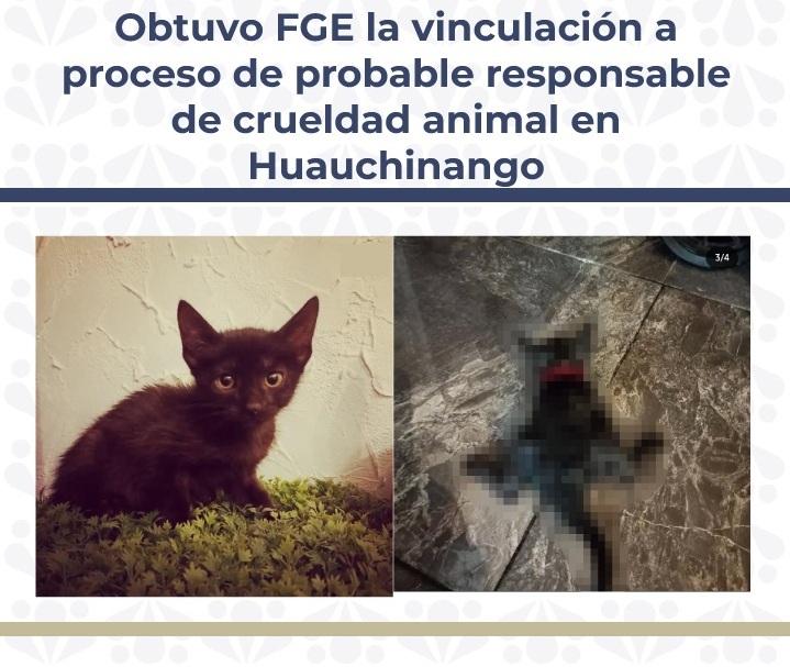 Lo vinculan a proceso por probable crueldad animal en Huauchinango