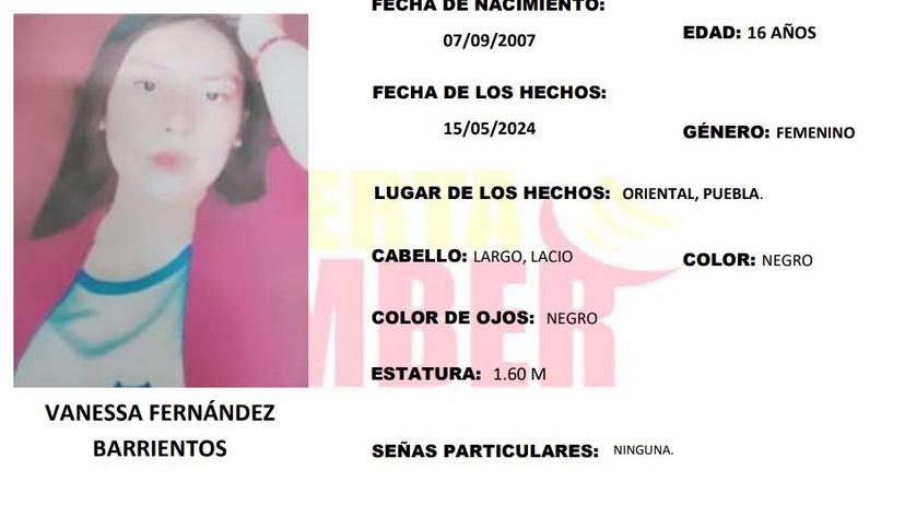 Vanessa de 16 años desapareció en calles de Oriental